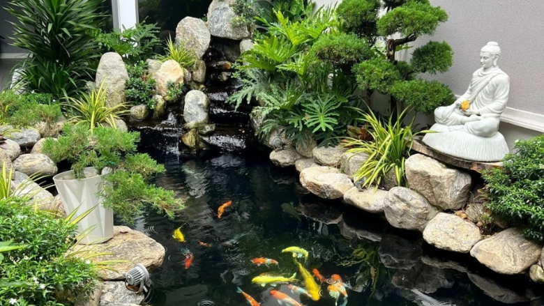 thi-cong-ho-ca-Koi-2